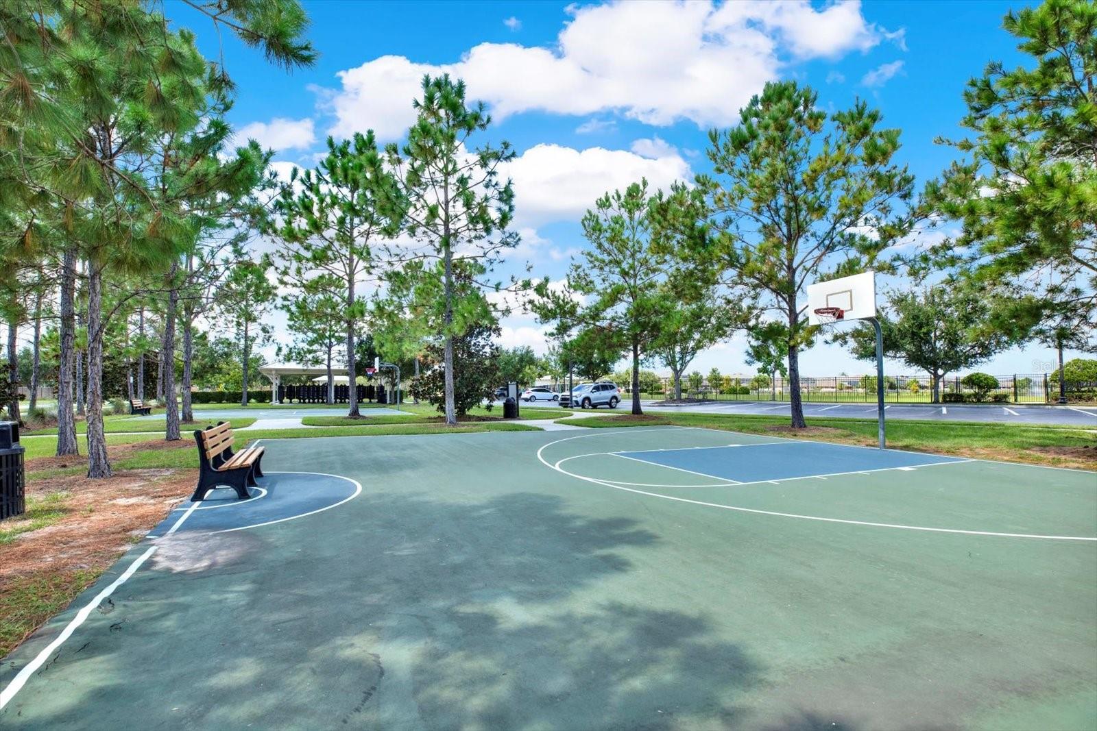 1656 NATURE VIEW DR, LUTZ, FL, 33558