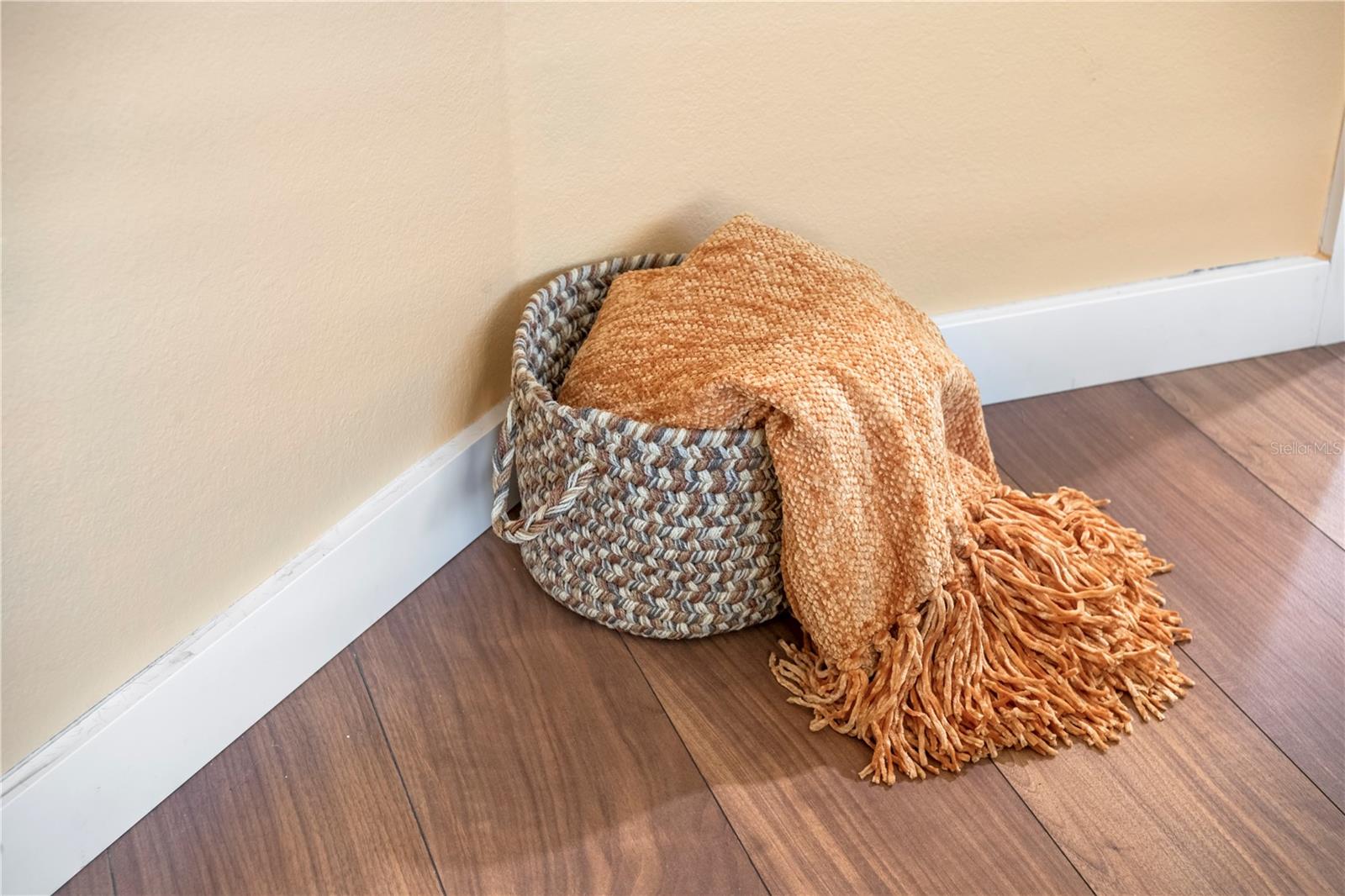 8693 PINETREE DR E, SEMINOLE, FL, 33772