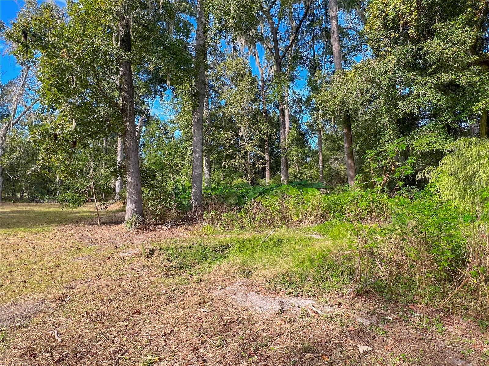 GC535205 Property Photo