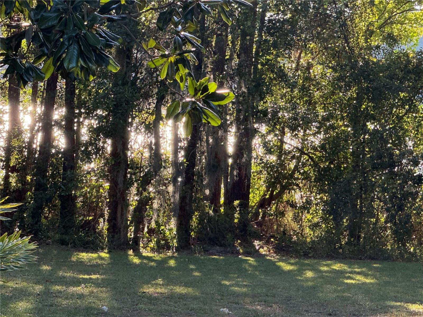 5915 CRYSTAL VIEW DR, ORLANDO, FL, 32819