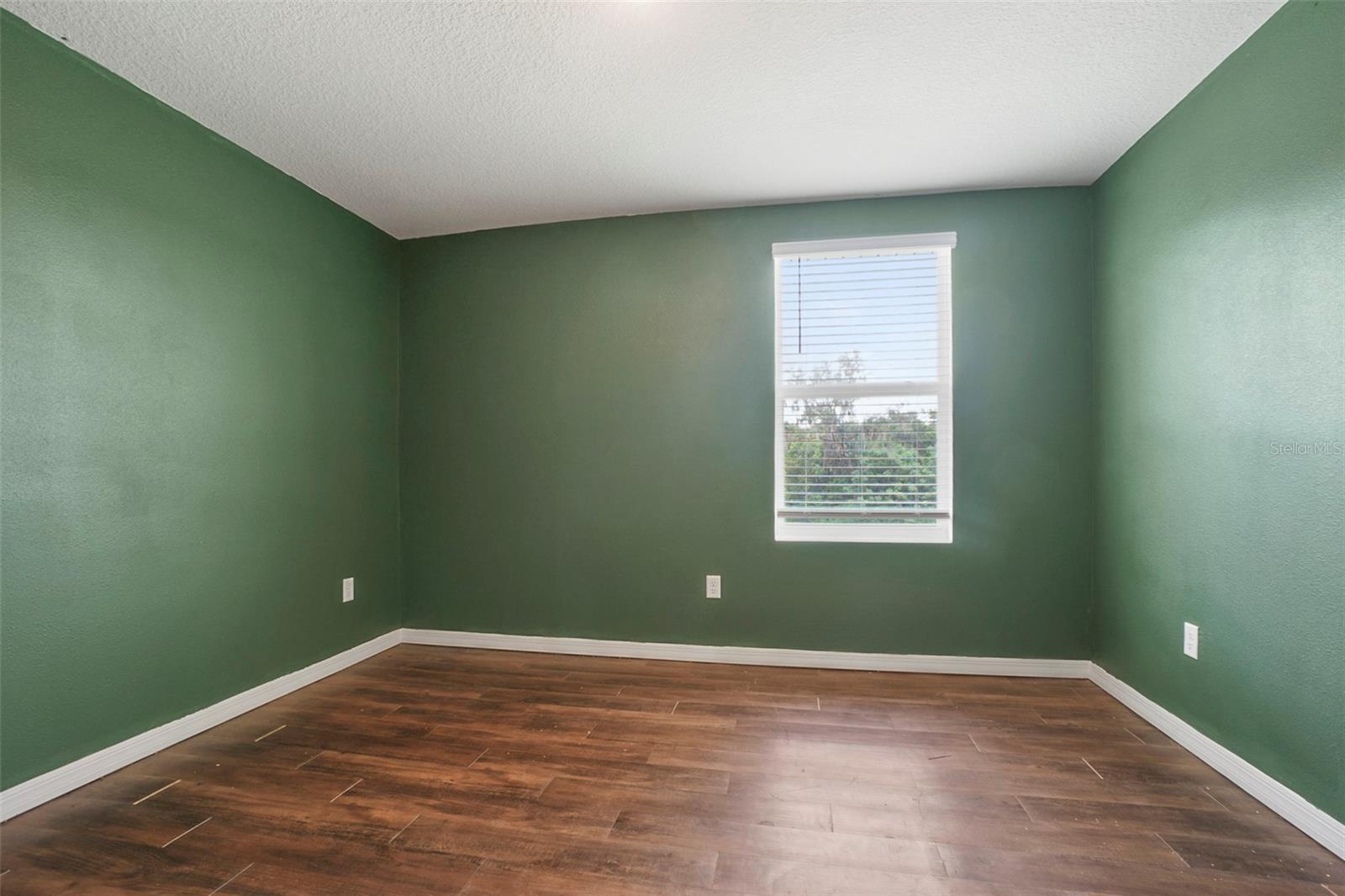 13648 WHISKEY DAISY DR, DADE CITY, FL, 33525