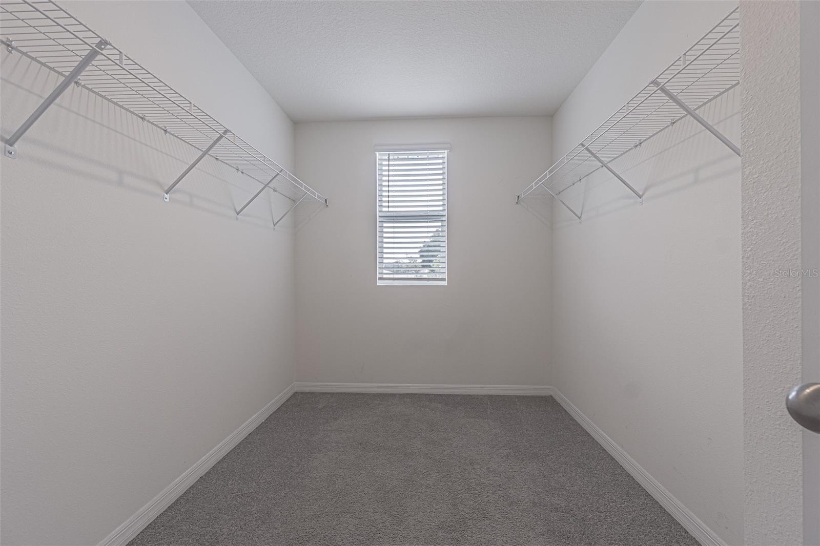 13648 WHISKEY DAISY DR, DADE CITY, FL, 33525