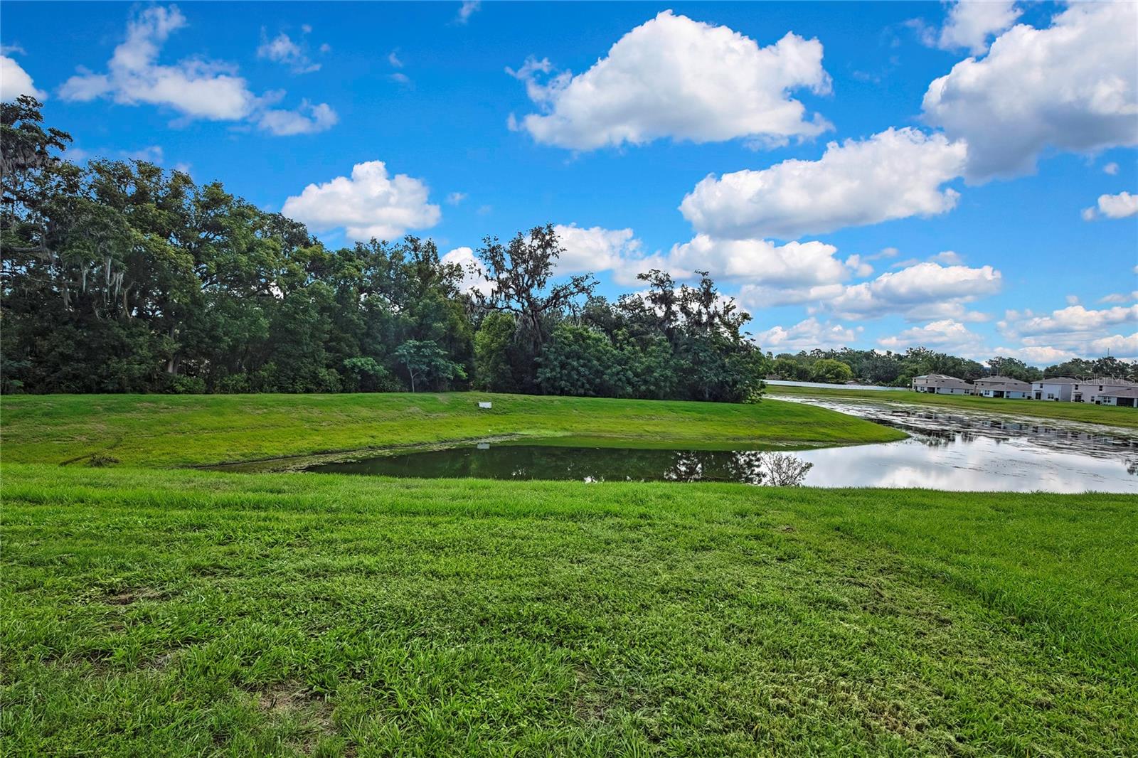 13648 WHISKEY DAISY DR, DADE CITY, FL, 33525