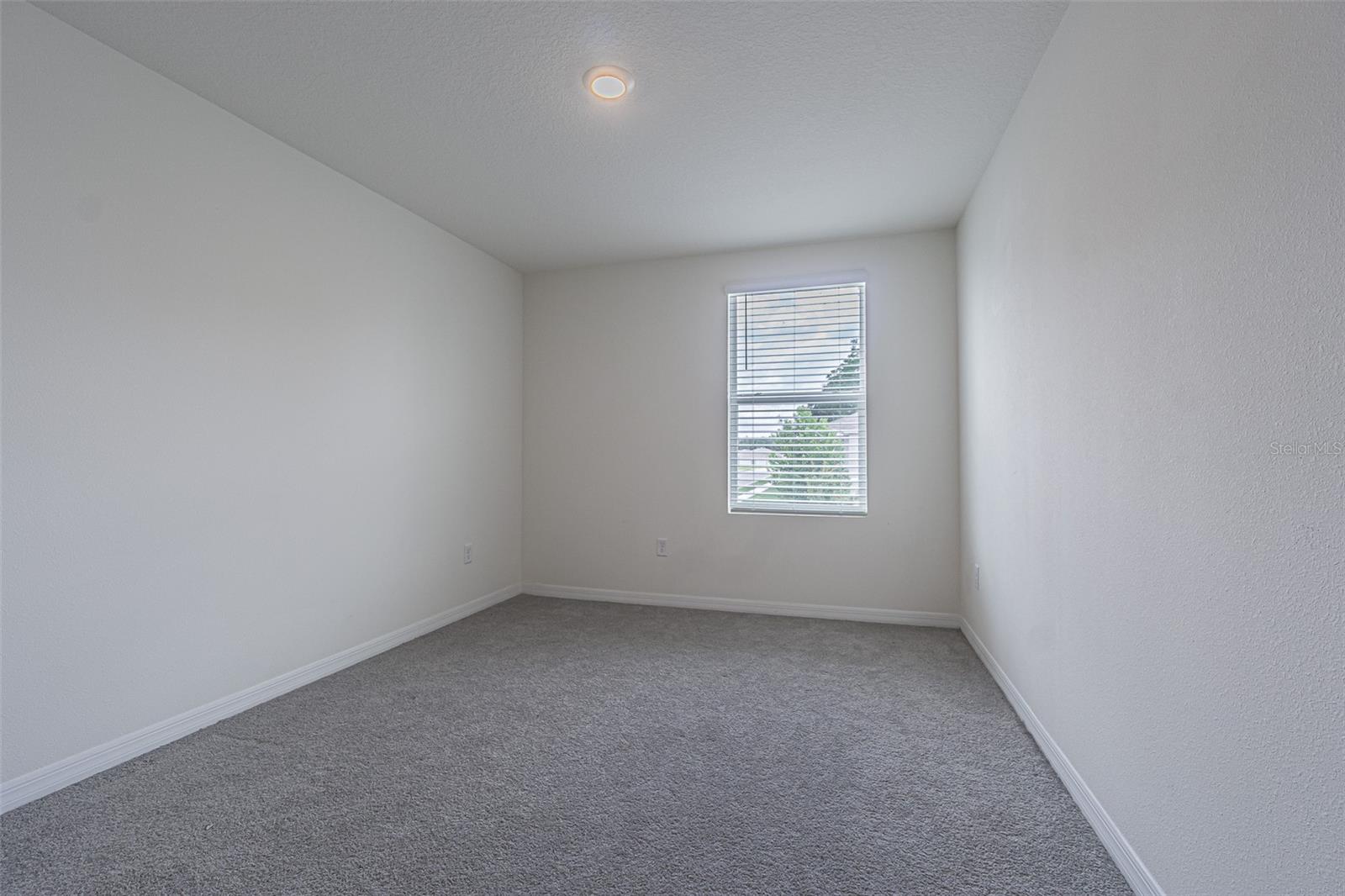 13648 WHISKEY DAISY DR, DADE CITY, FL, 33525