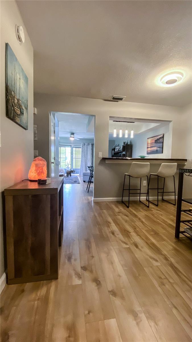 1766 WINDSONG CIR, FLAGLER BEACH, FL, 32136