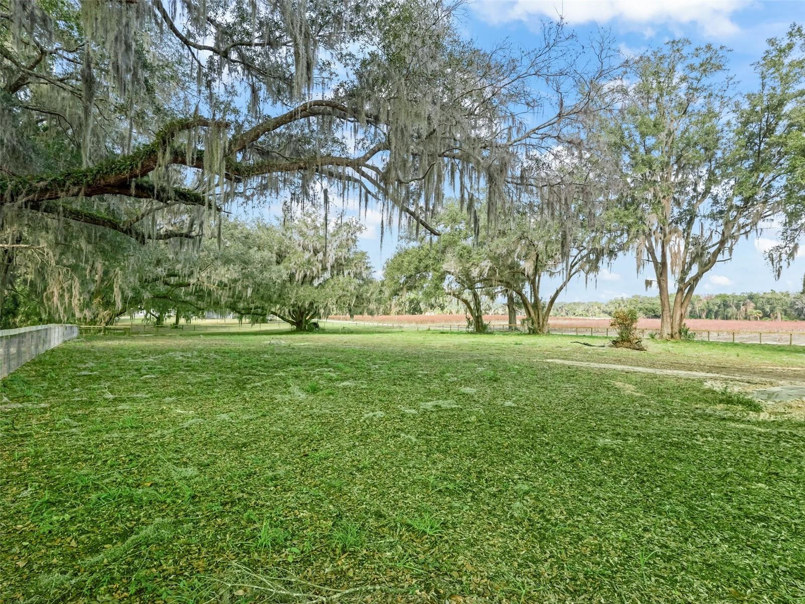 18350 NE 19TH CT, CITRA, FL, 32113