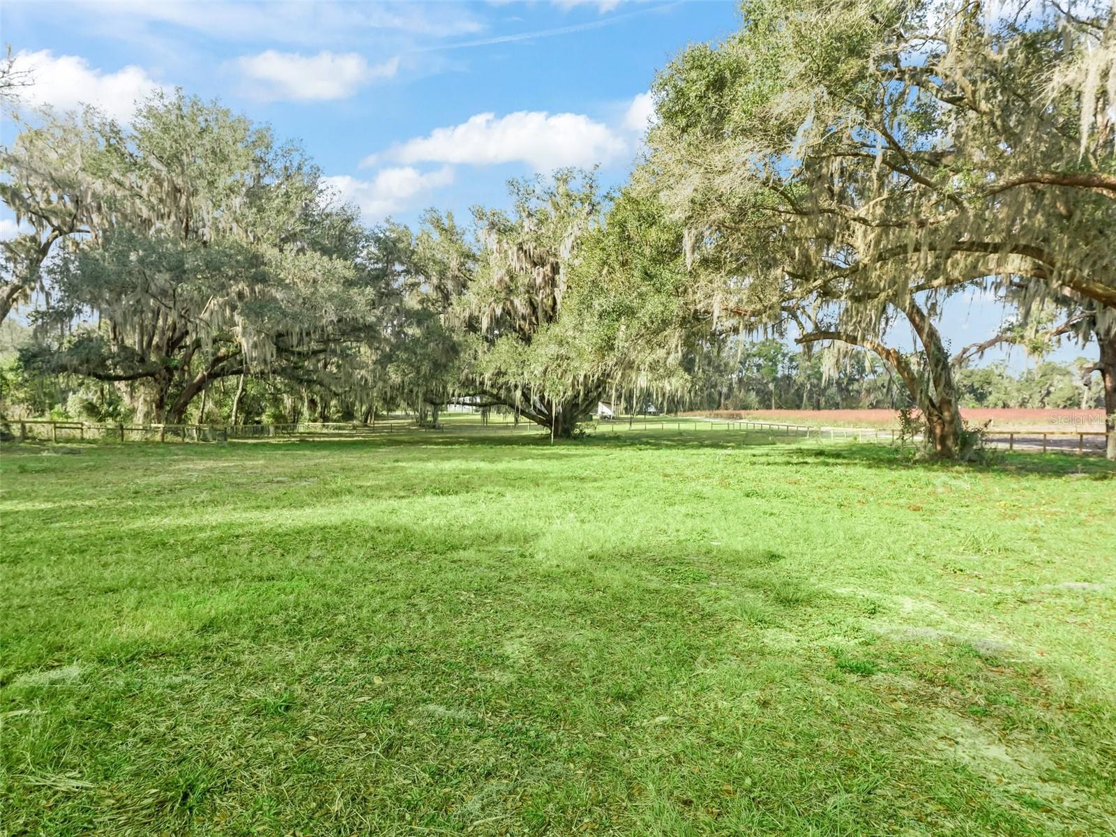 18350 NE 19TH CT, CITRA, FL, 32113