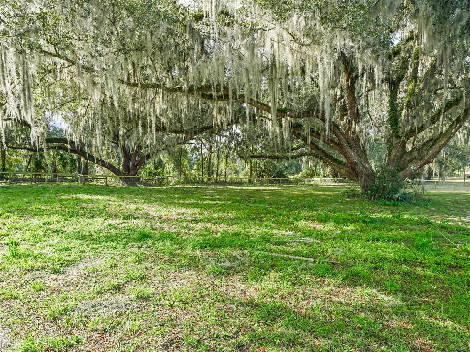 18350 NE 19TH CT, CITRA, FL, 32113