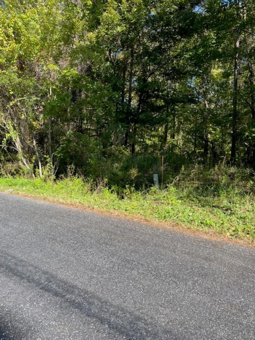 19611 NW 75TH ST, ALACHUA, FL, 32615