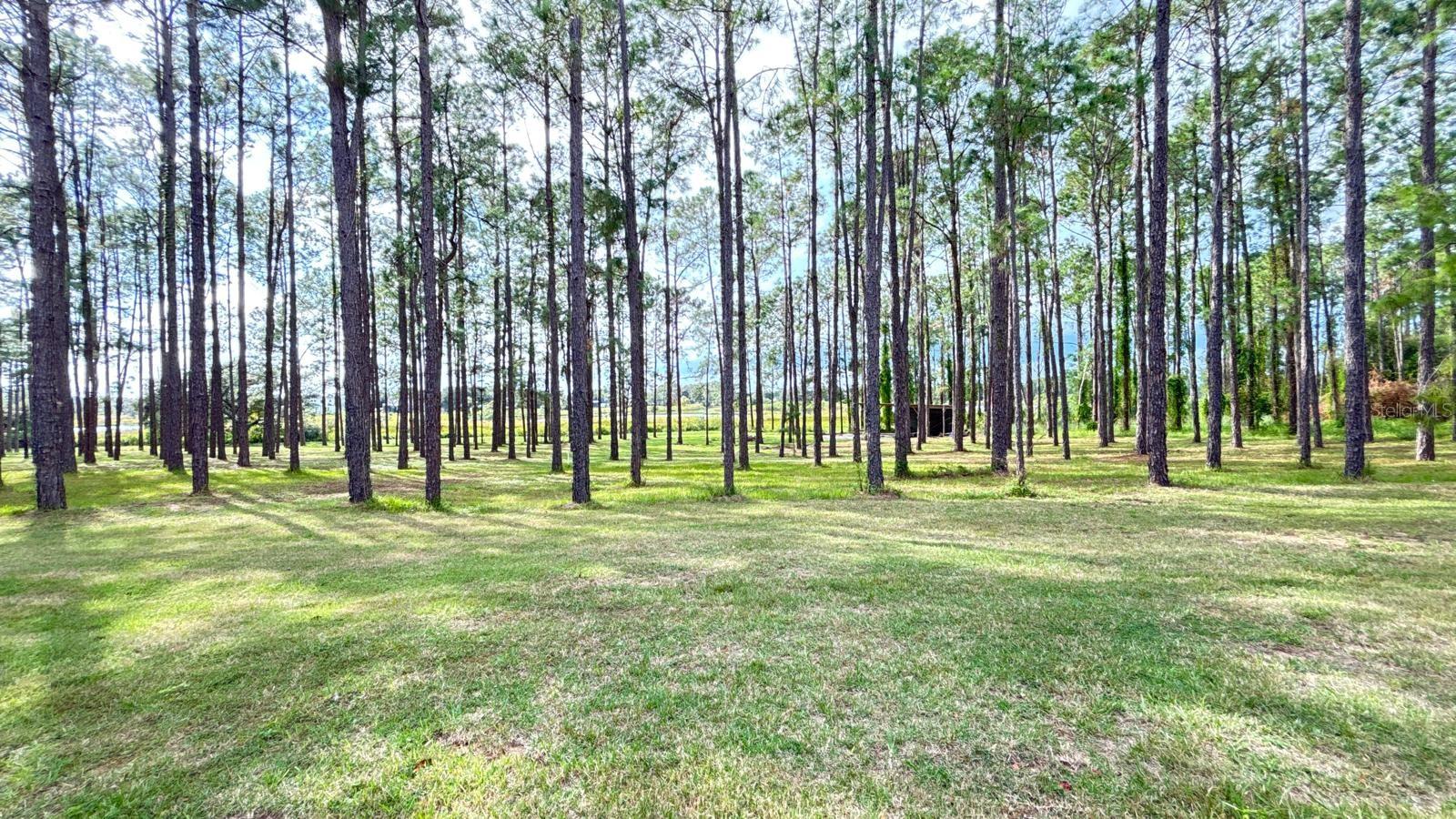 20721 ANGELS LANDING CT, CLERMONT, FL, 34715