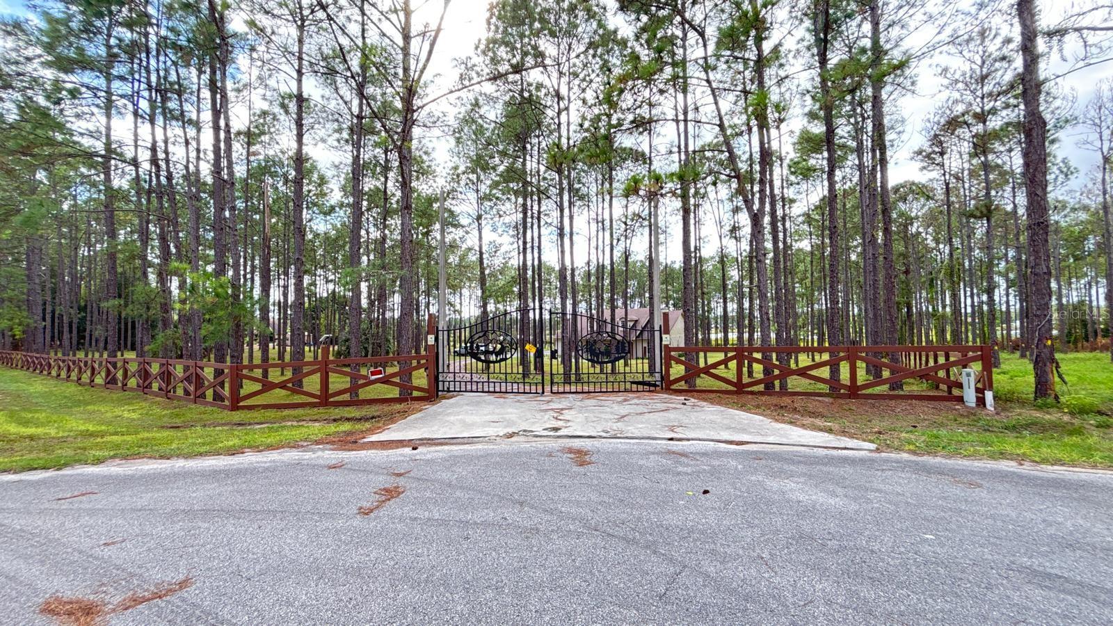 20721 ANGELS LANDING CT, CLERMONT, FL, 34715