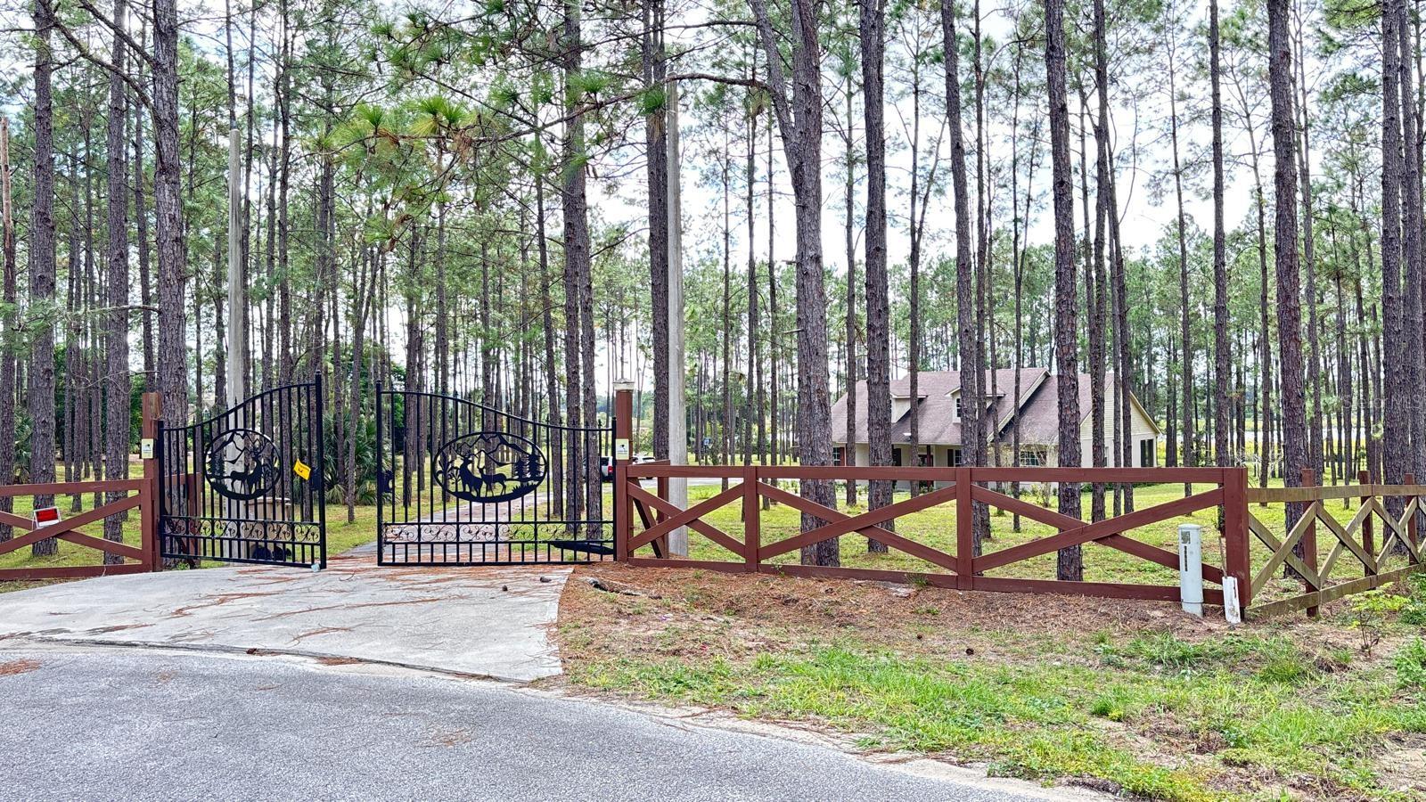 20721 ANGELS LANDING CT, CLERMONT, FL, 34715