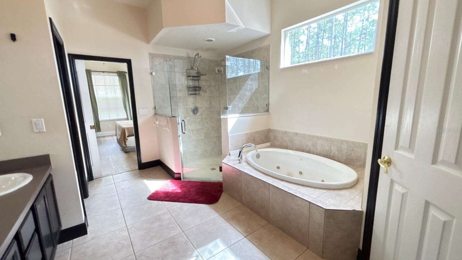 20721 ANGELS LANDING CT, CLERMONT, FL, 34715