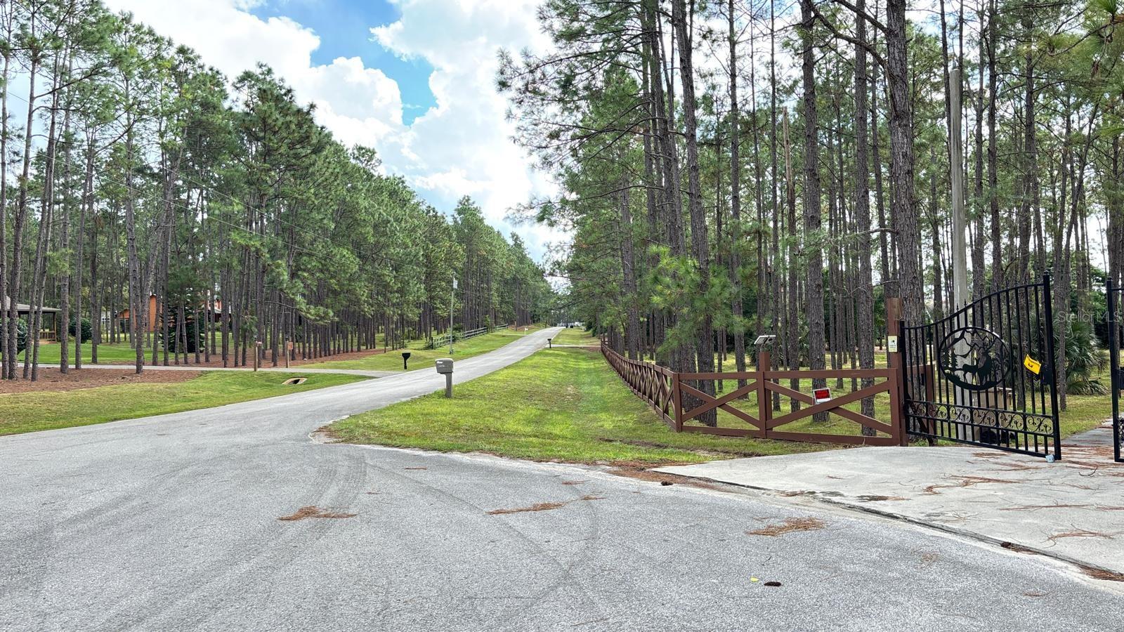 20721 ANGELS LANDING CT, CLERMONT, FL, 34715