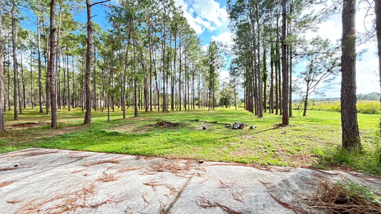 20721 ANGELS LANDING CT, CLERMONT, FL, 34715