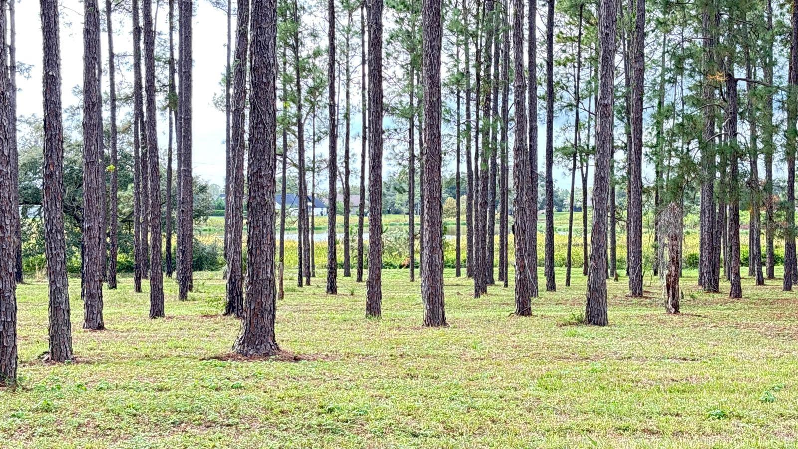 20721 ANGELS LANDING CT, CLERMONT, FL, 34715