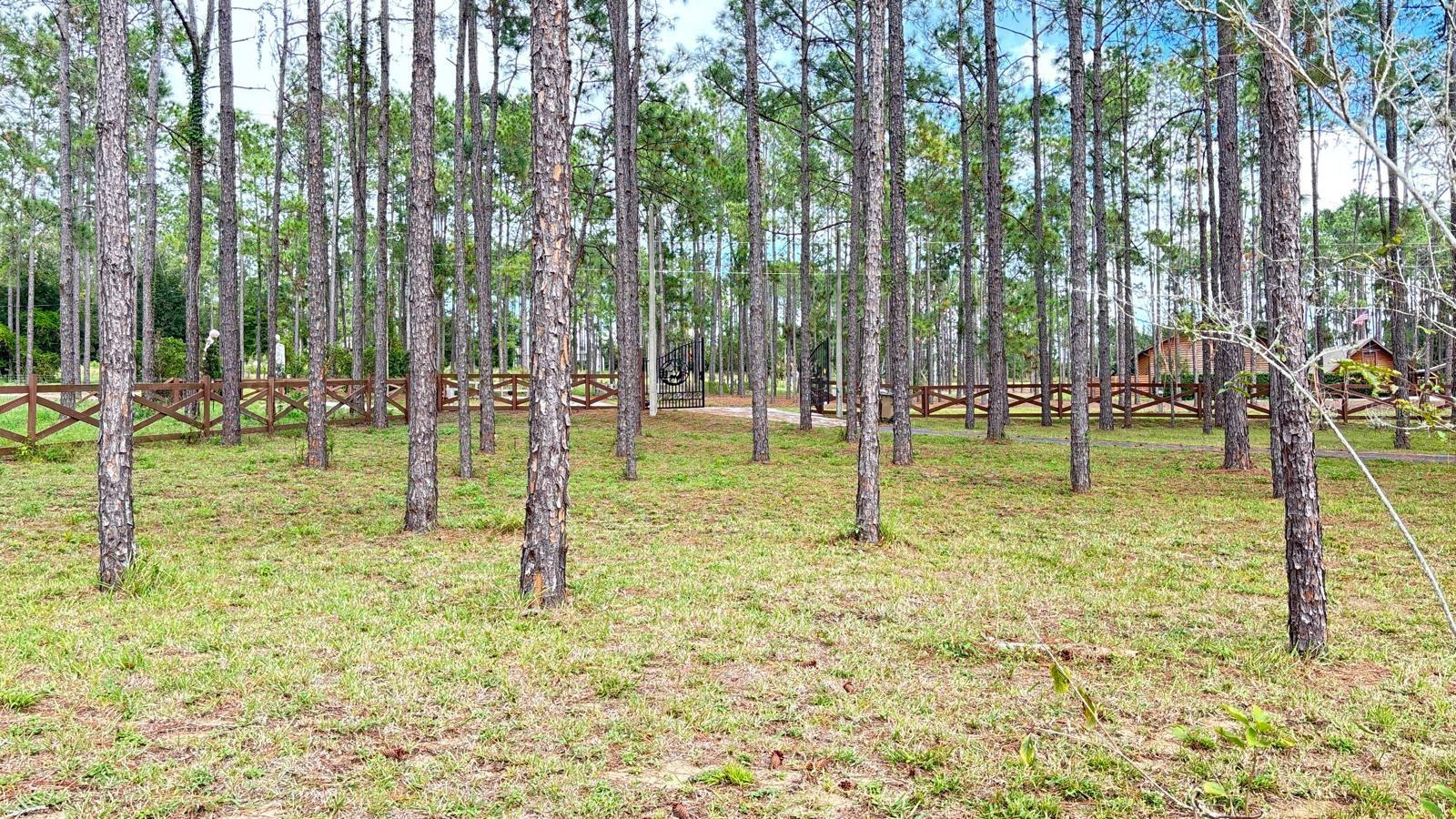 20721 ANGELS LANDING CT, CLERMONT, FL, 34715