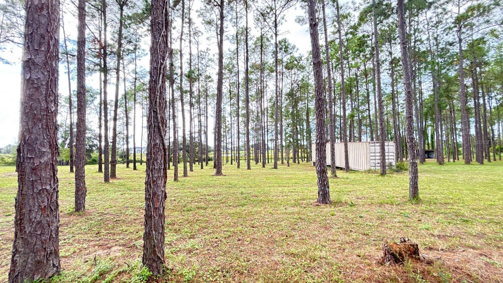 20721 ANGELS LANDING CT, CLERMONT, FL, 34715