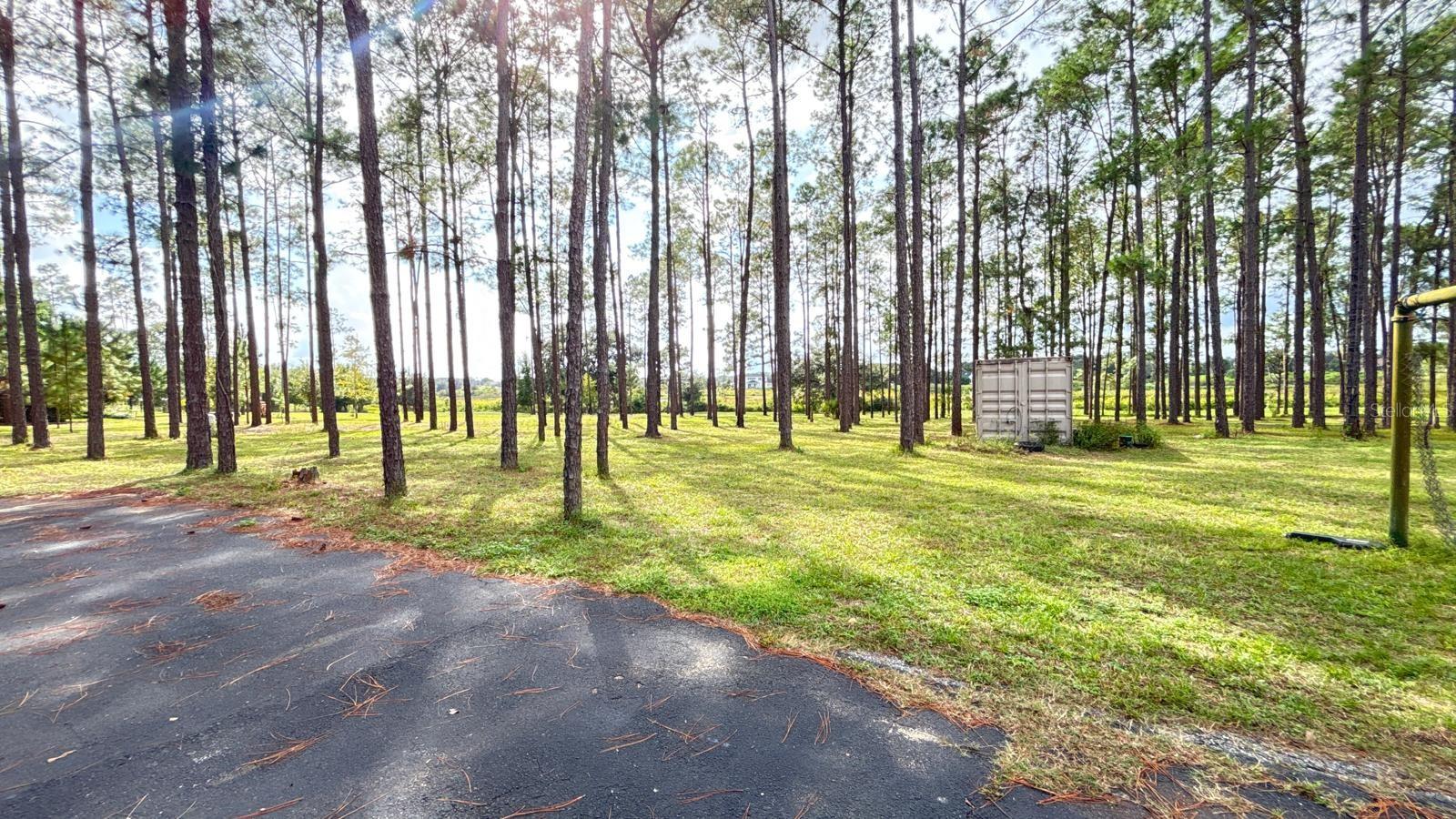 20721 ANGELS LANDING CT, CLERMONT, FL, 34715