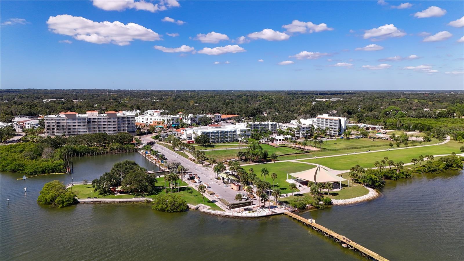 1110 WITHLACOOCHEE ST, SAFETY HARBOR, FL, 34695