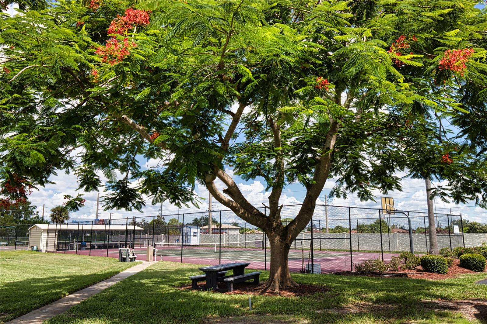 730 BLANCA, NORTH PORT, FL, 34287