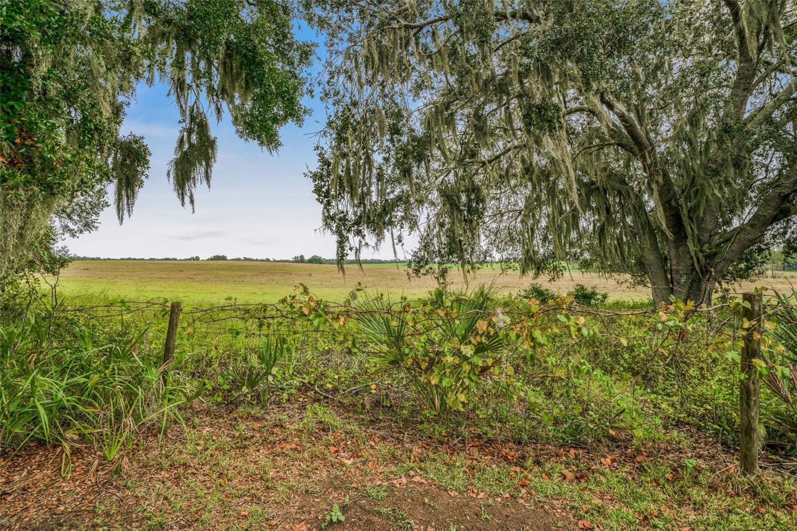 981 N FOXRUN TER, INVERNESS, FL, 34453