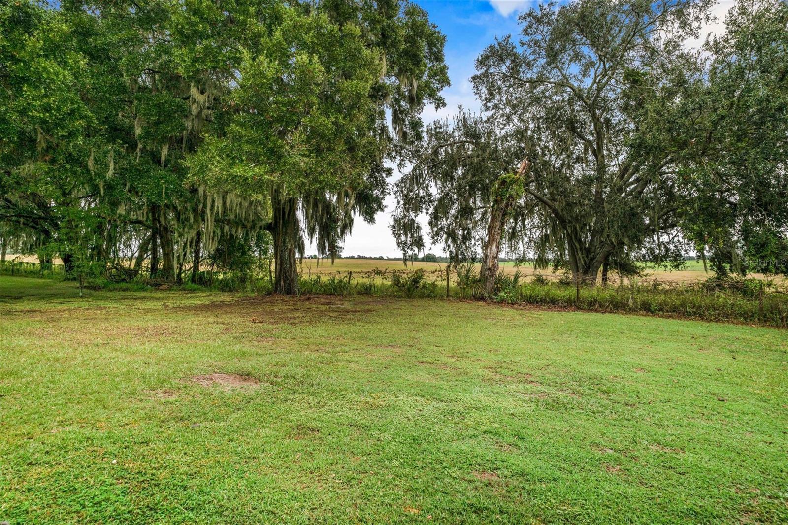 981 N FOXRUN TER, INVERNESS, FL, 34453