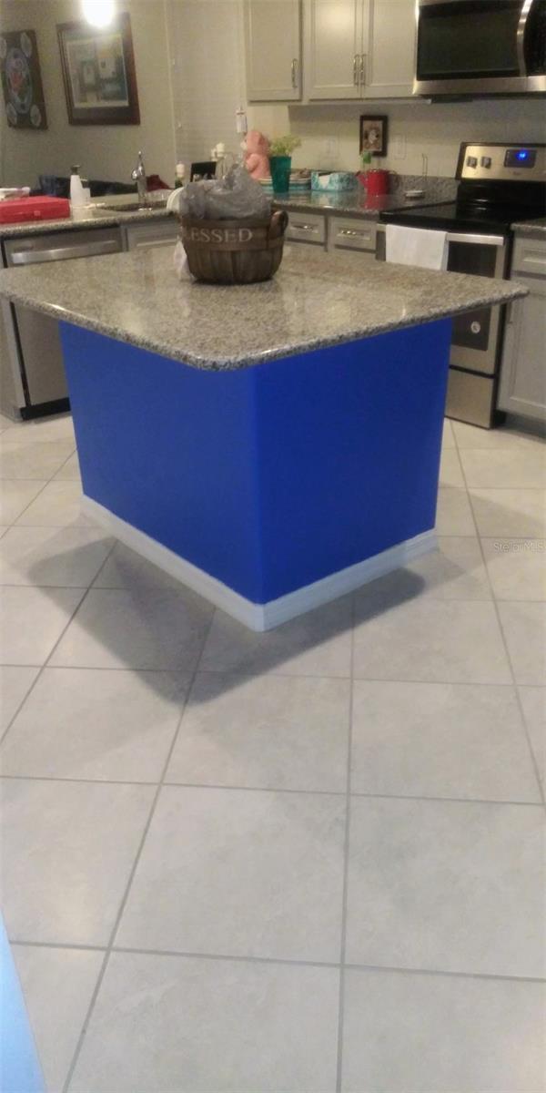 5338 FALLEN LEAF DR, RIVERVIEW, FL, 33578