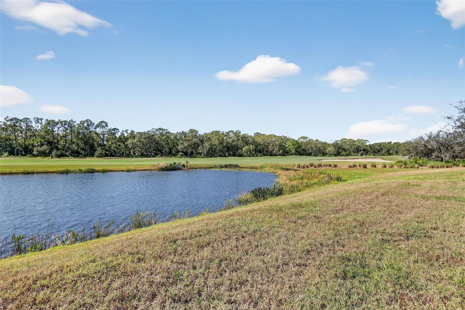 17520 GAWTHROP DR #405, BRADENTON, FL, 34211