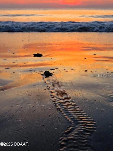 23 SUNRISE AVE, ORMOND BEACH, FL, 32176