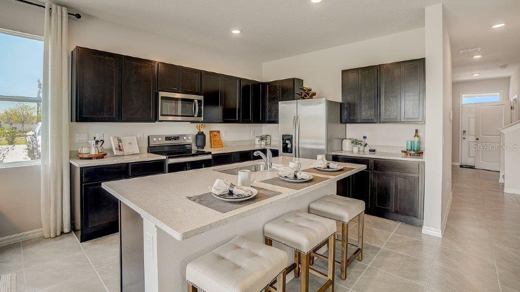 11346 VELVET APRICOT DR, LAND O LAKES, FL, 34638