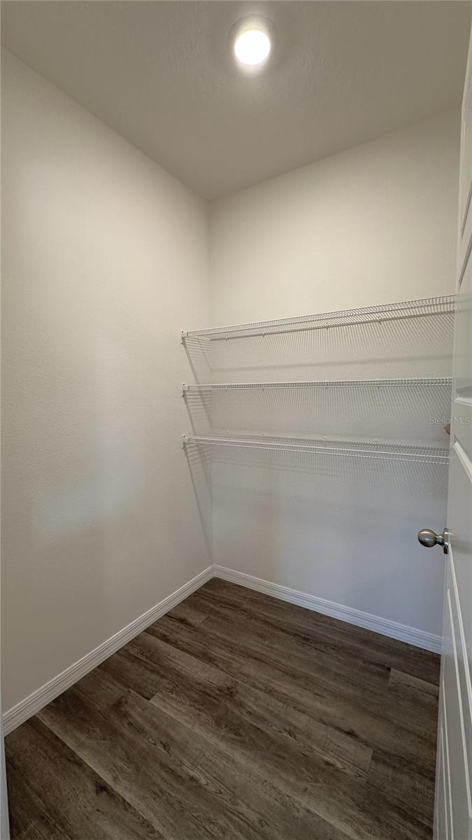 2505 RIBBON FALL AVE, DAVENPORT, FL, 33837