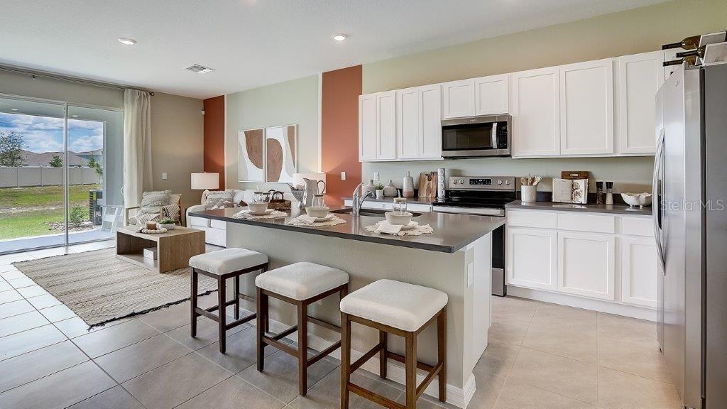 11352 VELVET APRICOT DR, LAND O LAKES, FL, 34638