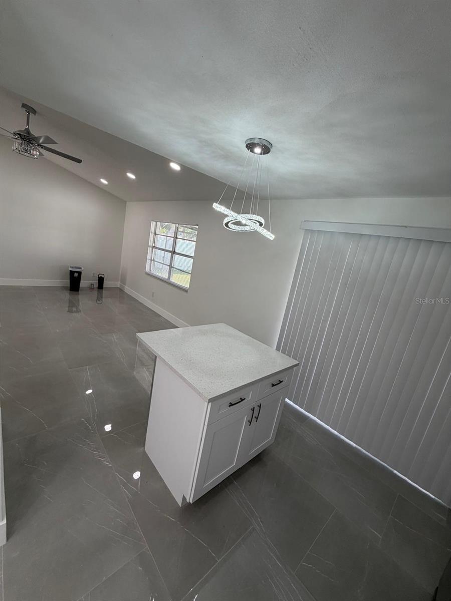 10912 BRIGHTSIDE DR, TAMPA, FL, 33624