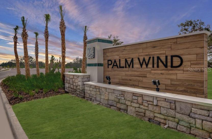 Palm Wind
