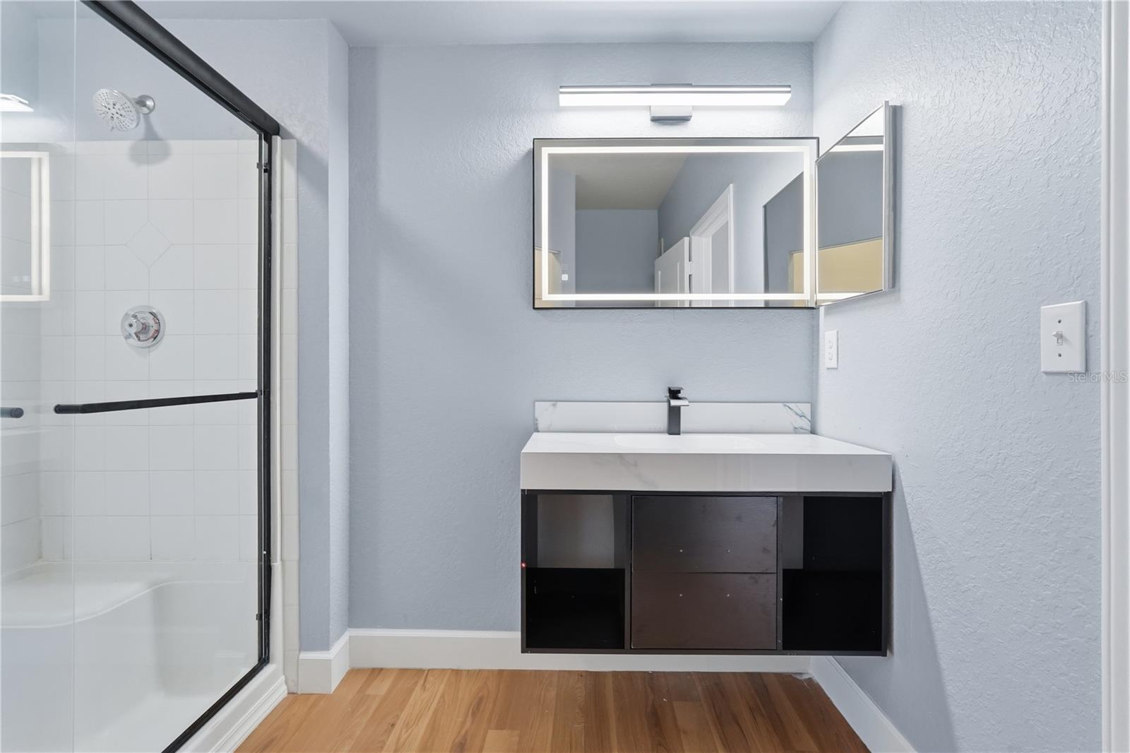 5125 PALM SPRINGS BLVD #4203, TAMPA, FL, 33647