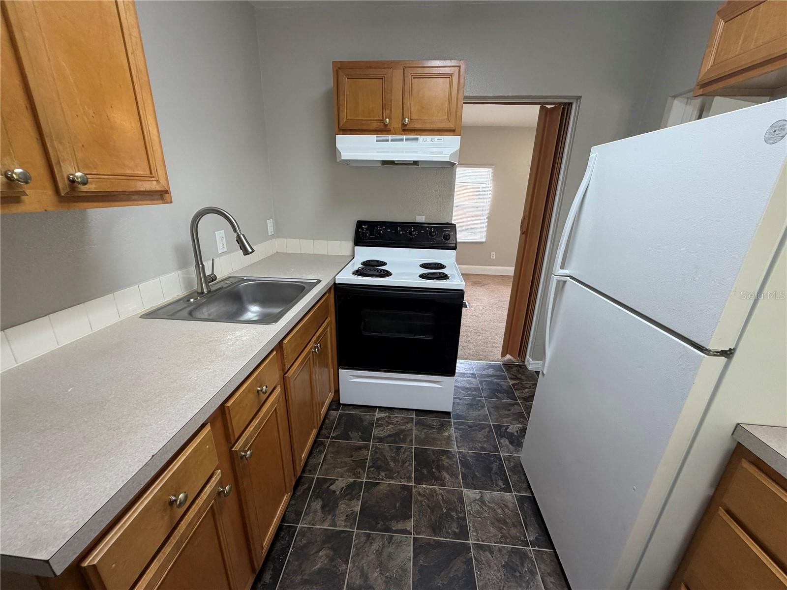 18 E GOLF LINKS AVE, EUSTIS, FL, 32726