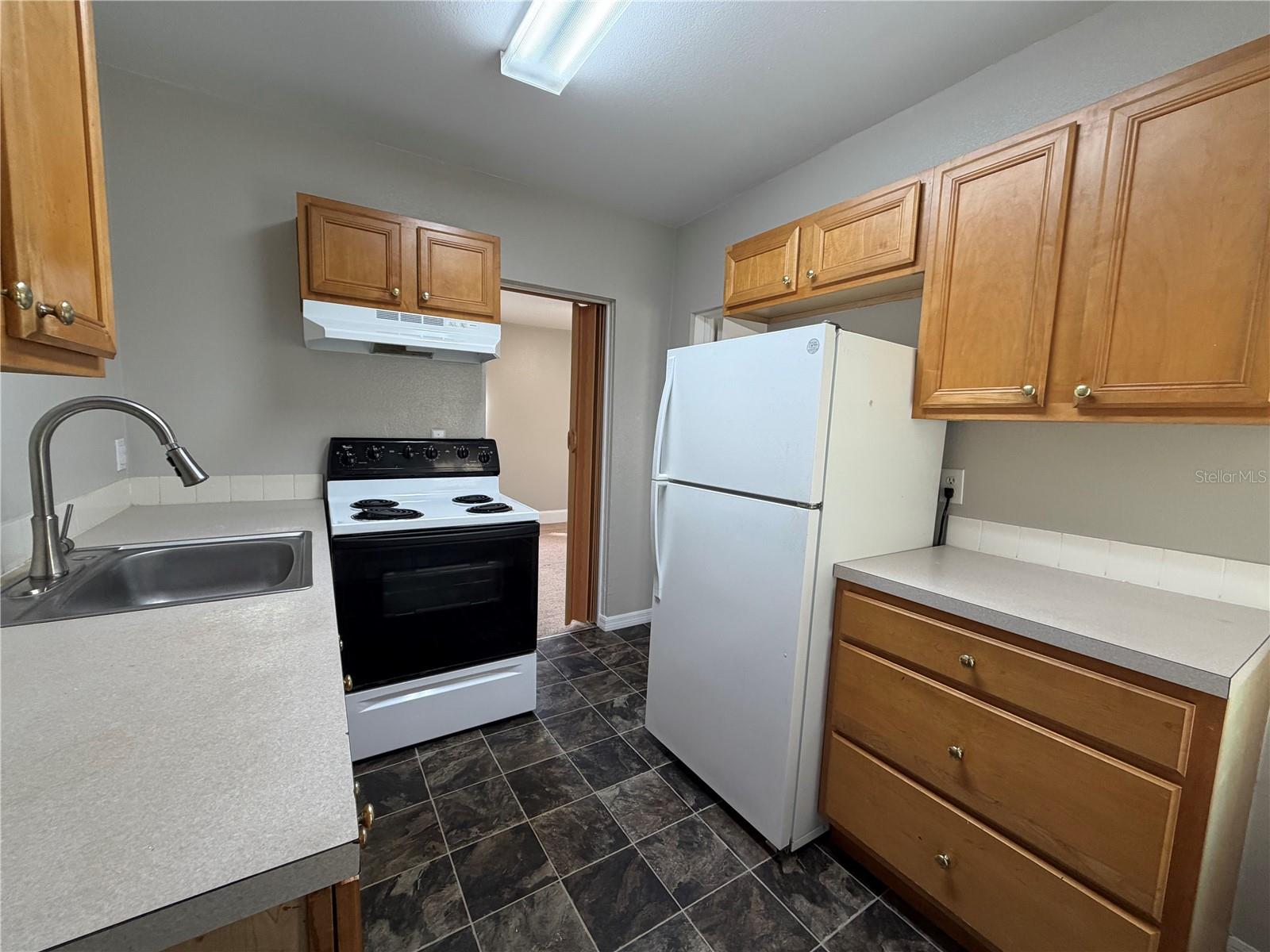 18 E GOLF LINKS AVE, EUSTIS, FL, 32726