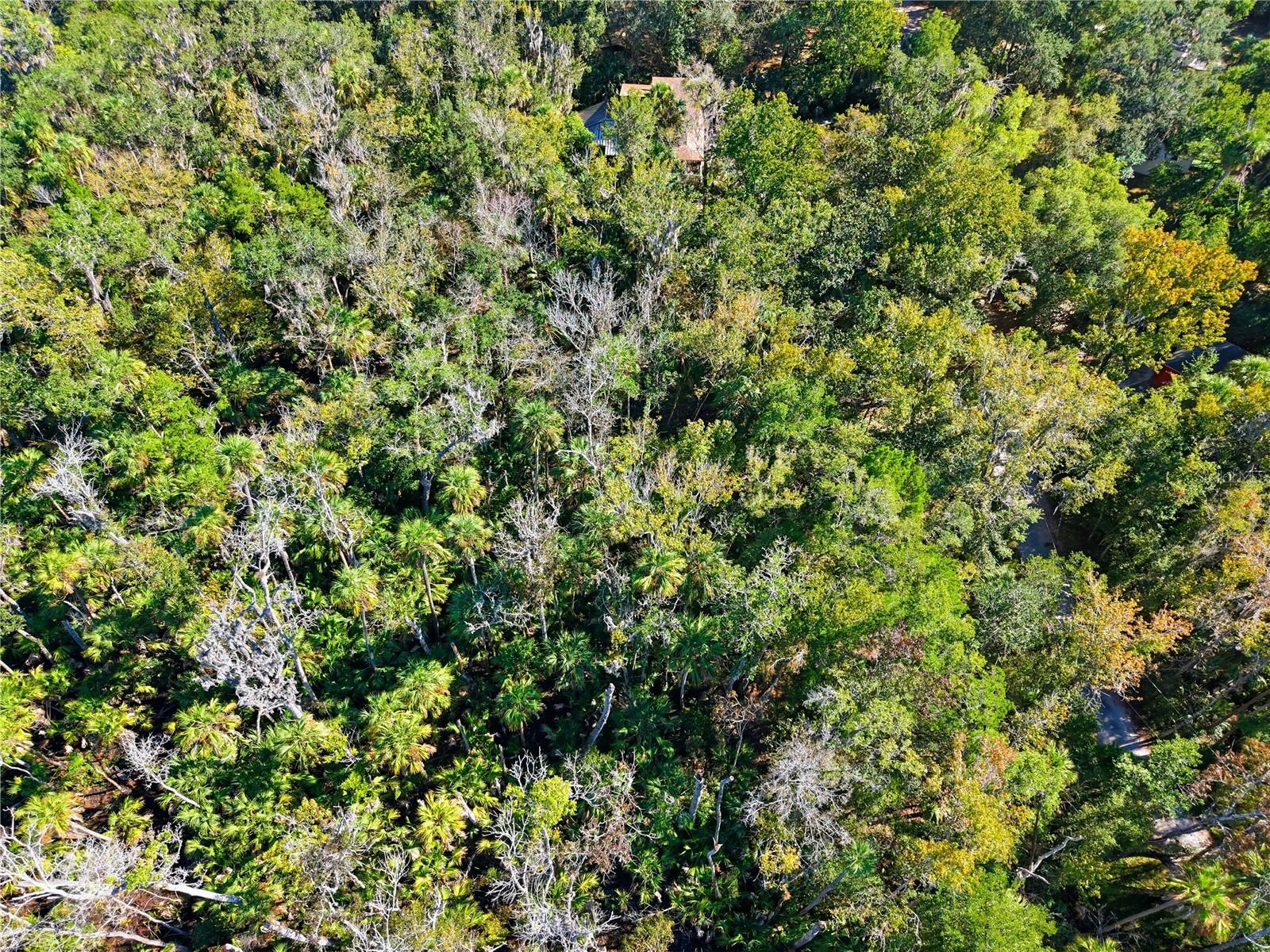 4485 S LEWOODS DR, HOMOSASSA, FL, 34448