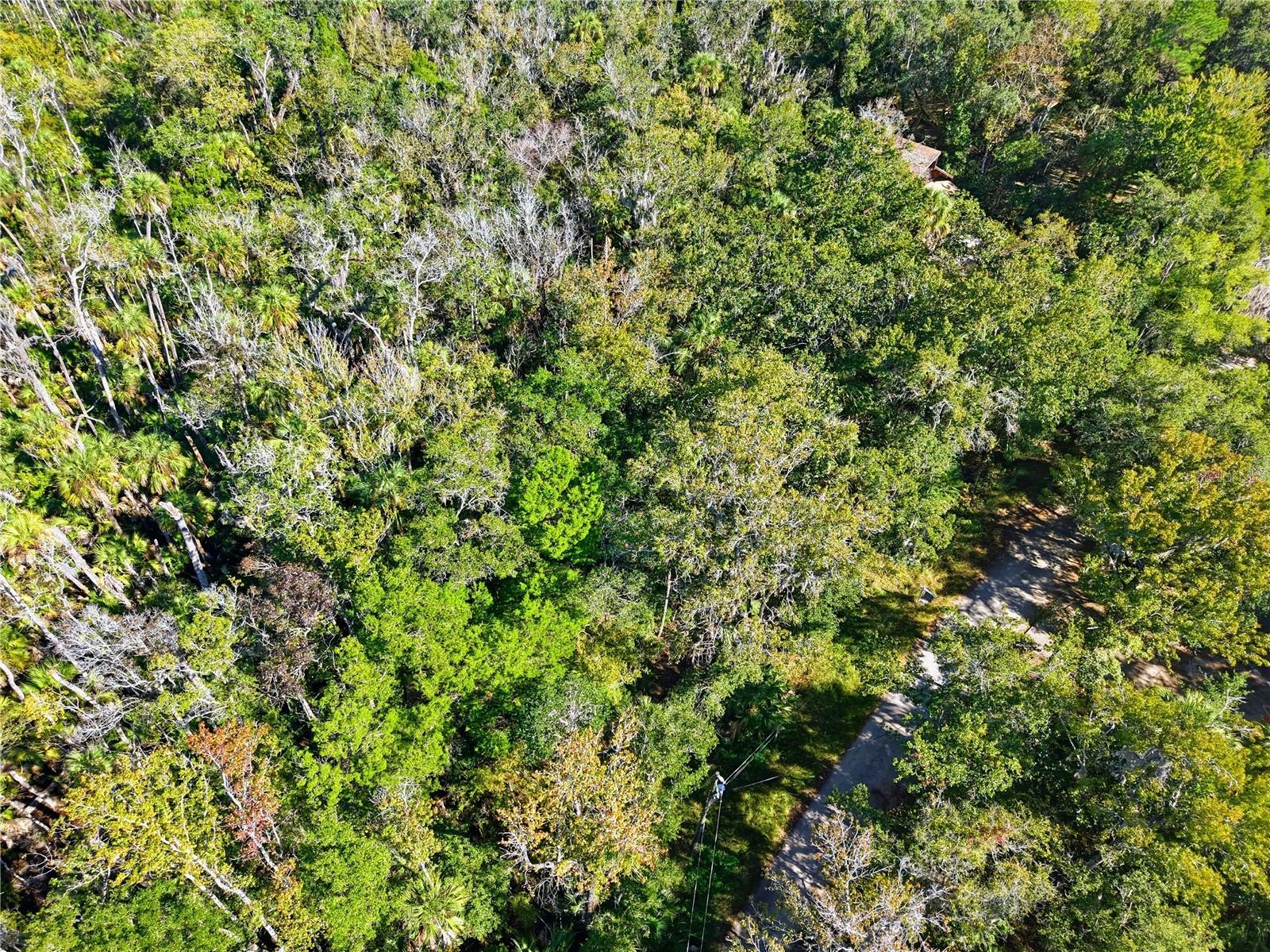 4485 S LEWOODS DR, HOMOSASSA, FL, 34448