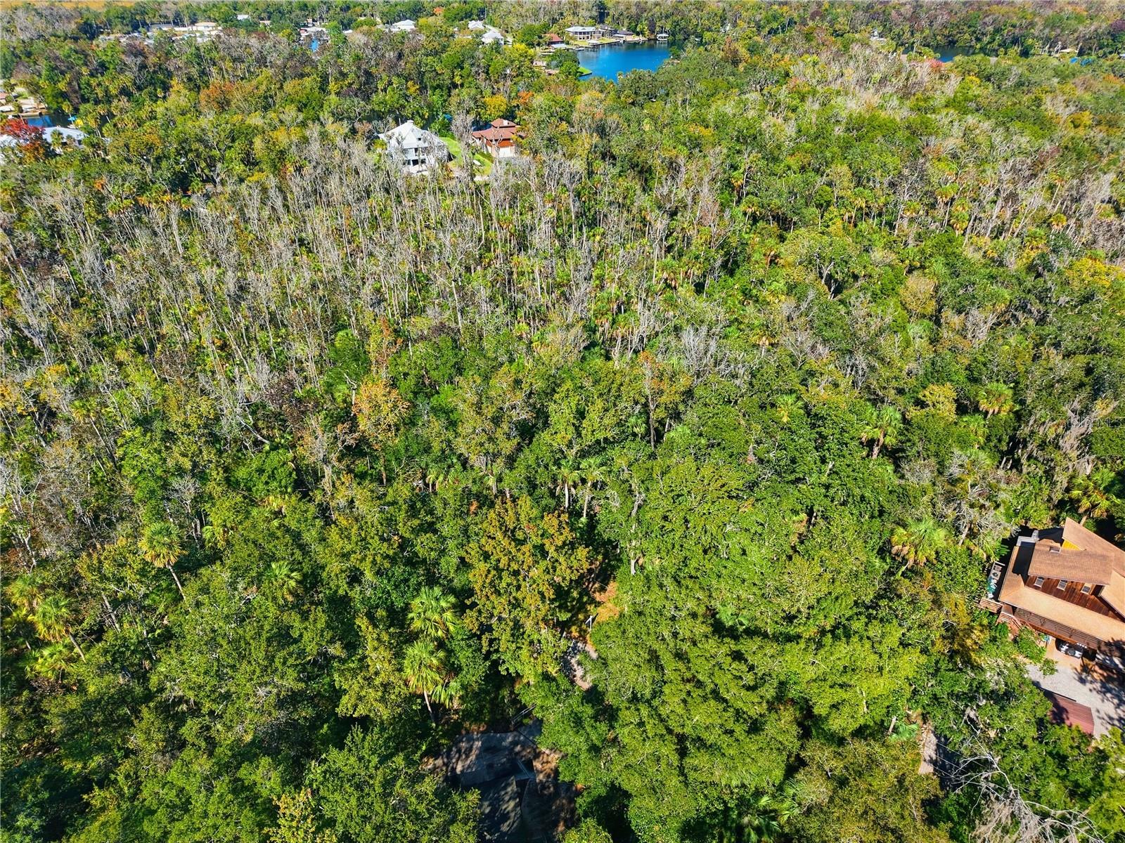 4485 S LEWOODS DR, HOMOSASSA, FL, 34448