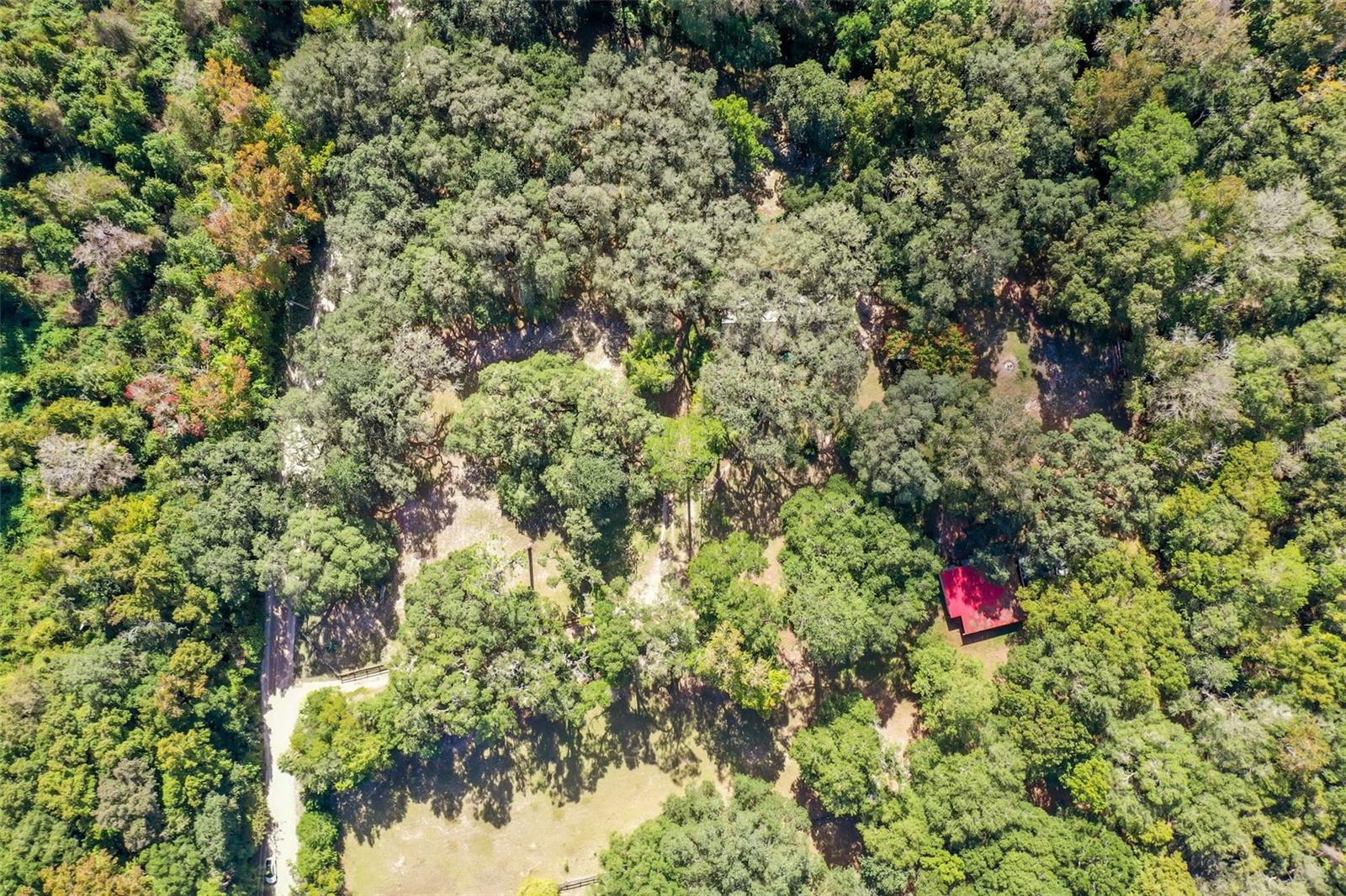 4704 NE 255TH DR, MELROSE, FL, 32666