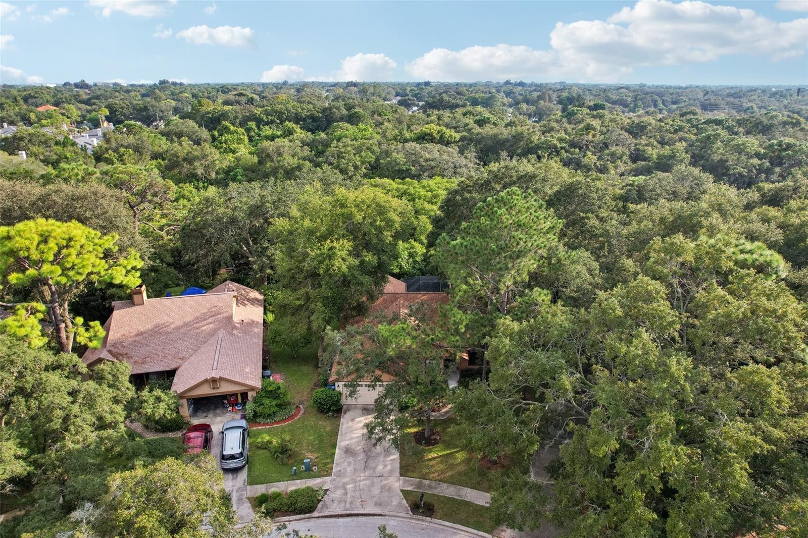 2990 LONGBROOKE WAY, CLEARWATER, FL, 33760