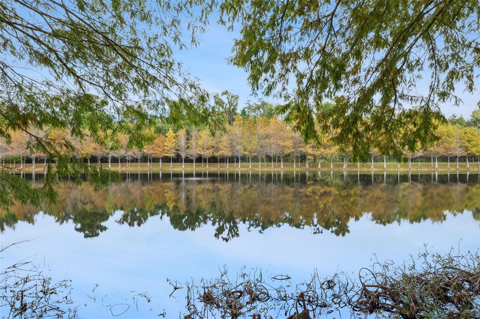 5534 SIRACUSA LN, SANFORD, FL, 32771