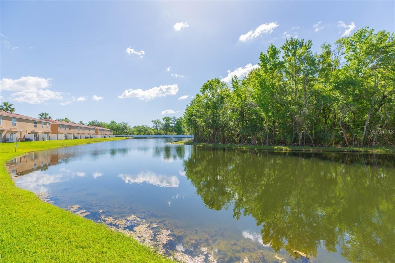4220 WINDING RIVER WAY, LAND O LAKES, FL, 34639