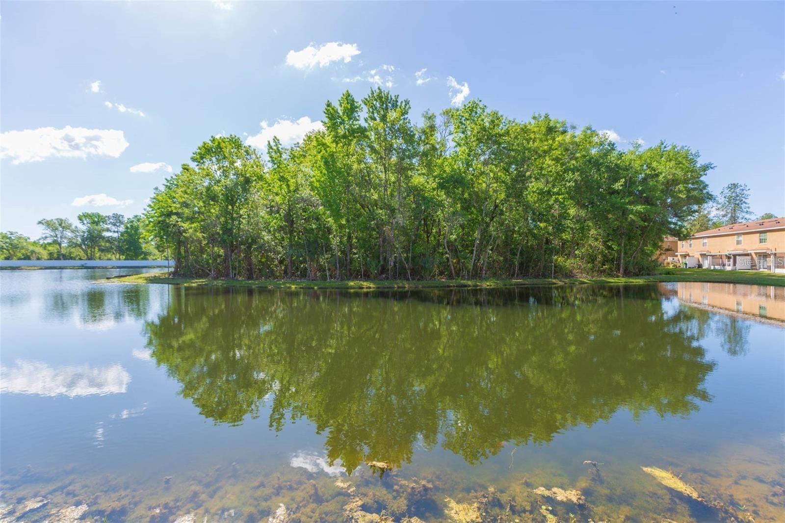 4220 WINDING RIVER WAY, LAND O LAKES, FL, 34639