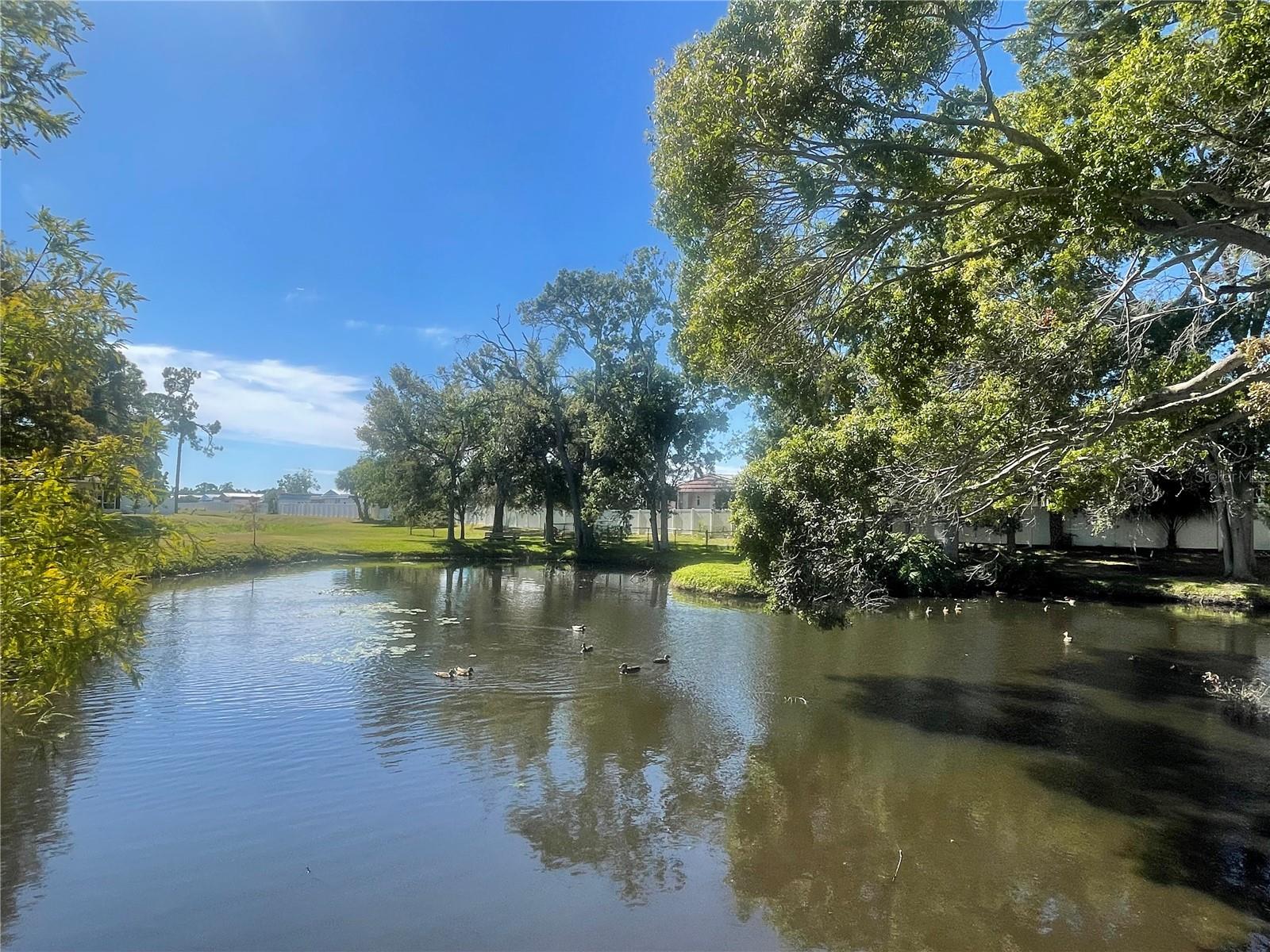 6980 ULMERTON RD #3G, LARGO, FL, 33771