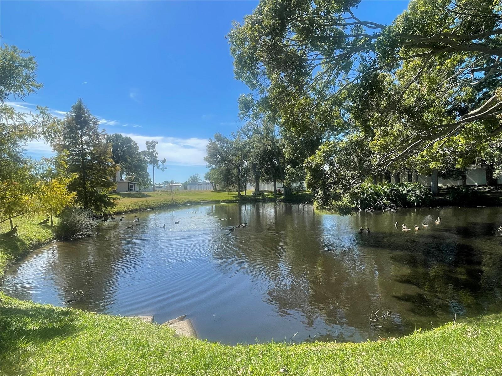 6980 ULMERTON RD #3G, LARGO, FL, 33771