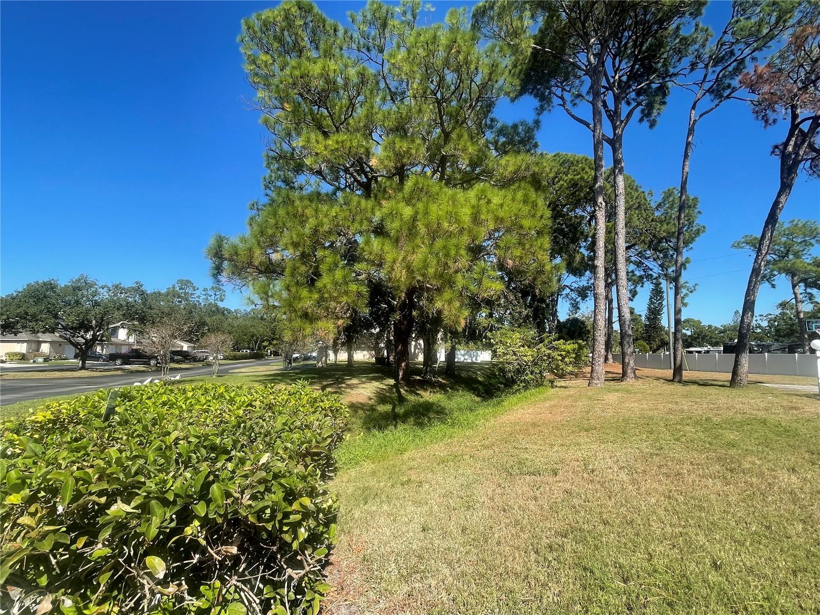 6980 ULMERTON RD #3G, LARGO, FL, 33771