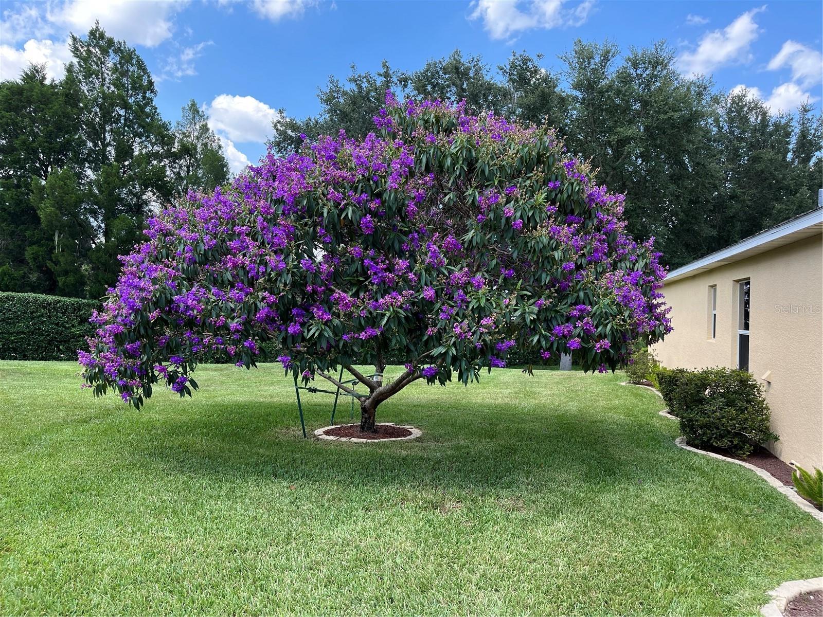 4016 CARTERET DR, WINTER HAVEN, FL, 33884